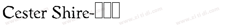 Cester Shire字体转换